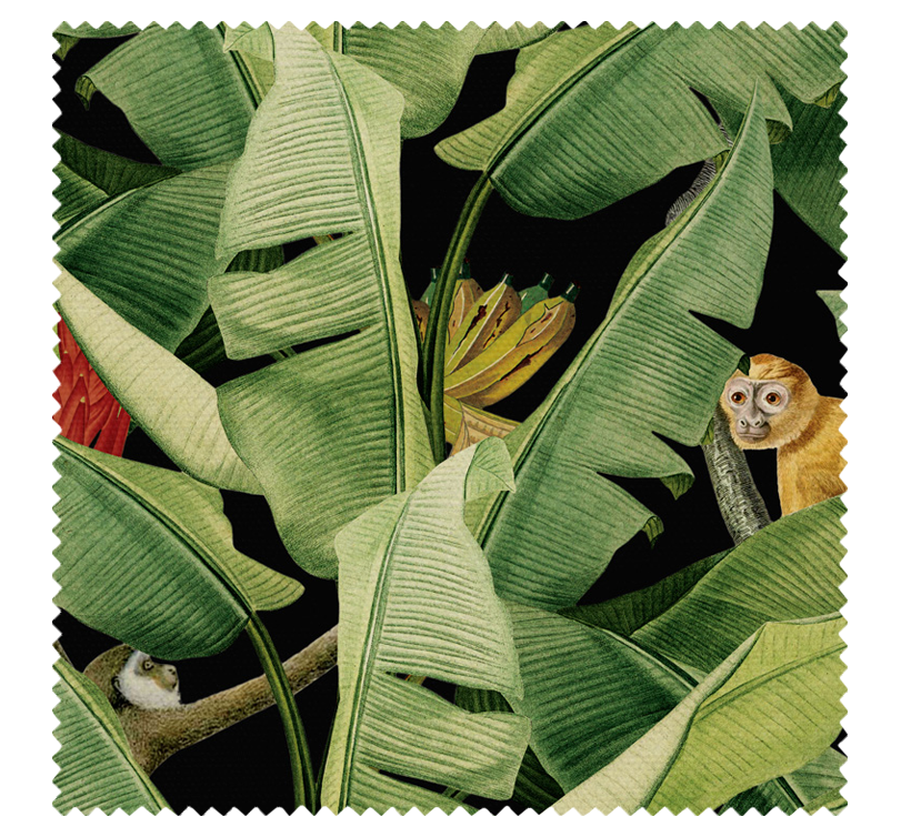 Jungle Fever - Kingdom Home