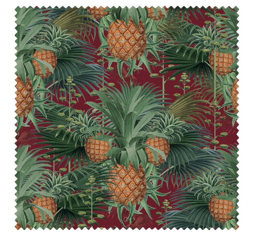 pineapple harvest