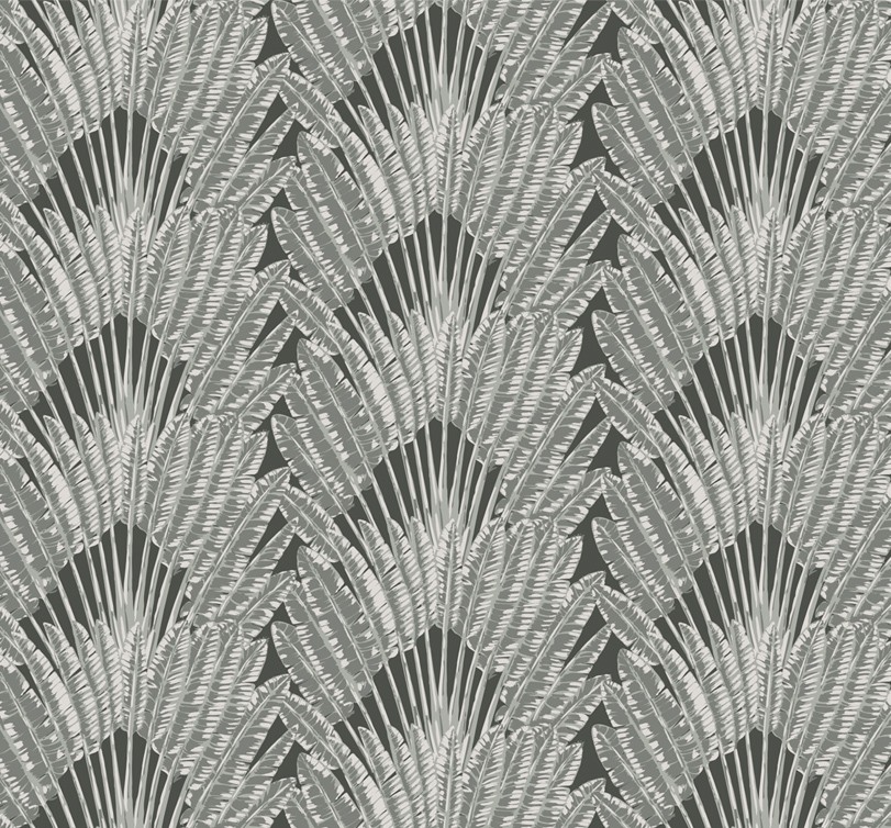 Feather palm