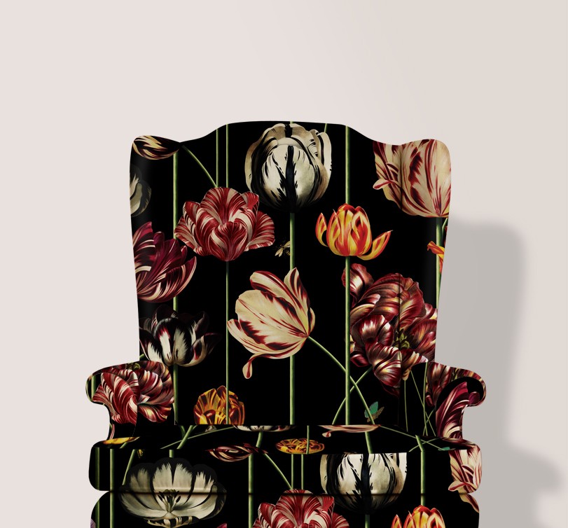 Tulipa