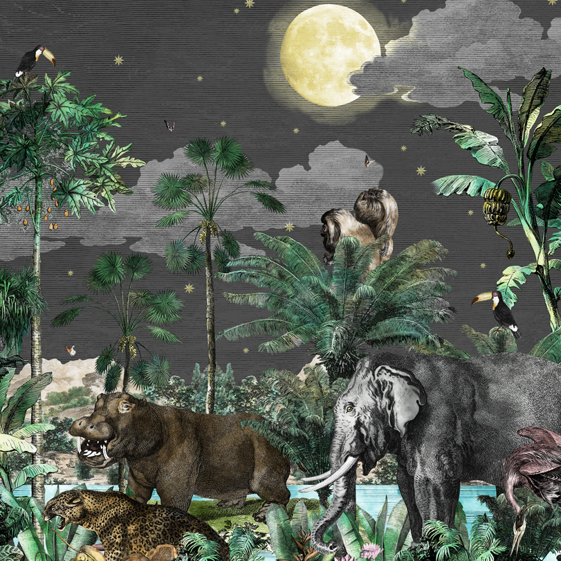 ETCHED SAFARI